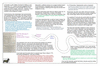 coo1f31 hawkesworth_thumb.gif